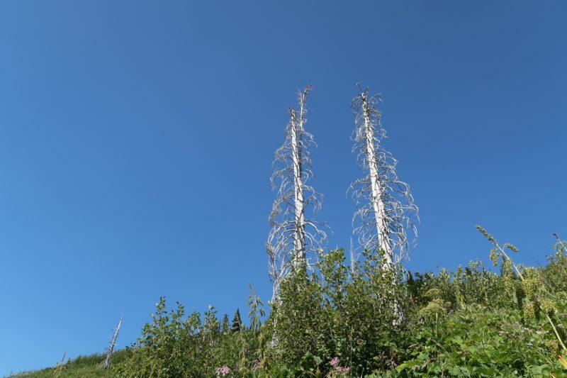 highline trail