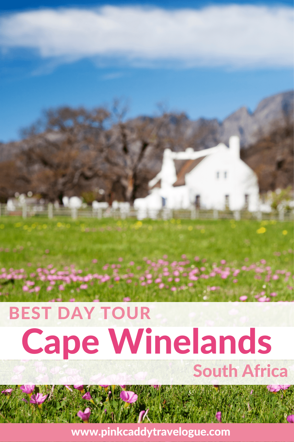 If you're planning a trip to Cape Town, you must put a Cape Winelands tour on your itinerary! Here's my review of a great guided tour that includes chocolate and cheese tastings and a whole lot of South African wine #stellenbosch #franschhoek #winelands #capetown #southafrica